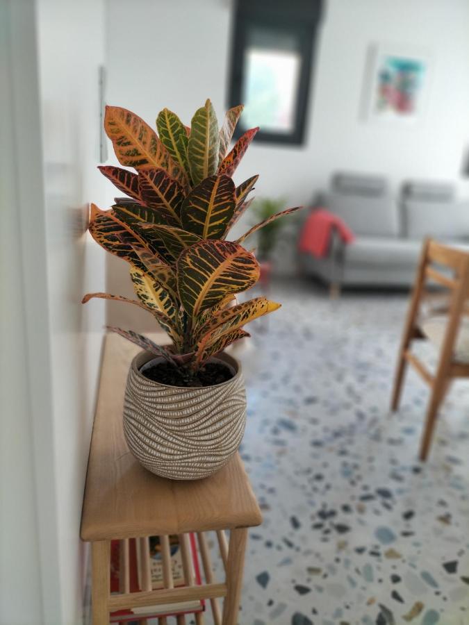 Casa Dos Minos Bruno Apartment Cangas do Morrazo Luaran gambar